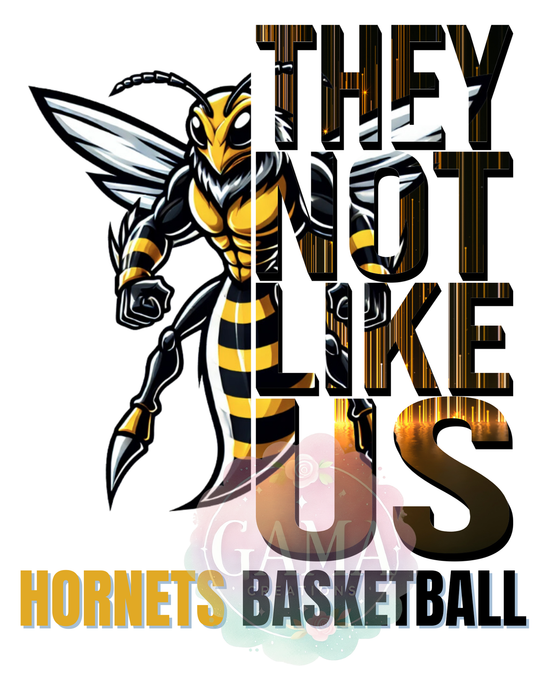 Hornets Basketball They Not Like Us PNG, Trending T-Shirt Design, Digital Download