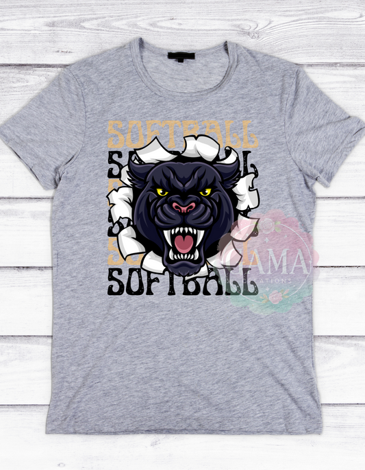 Panthers Softball PNG, Trending T-Shirt Design, Digital Download